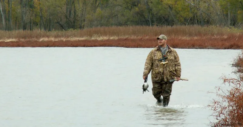 Duck hunters must select from 2 bag limits when registering for harvest program