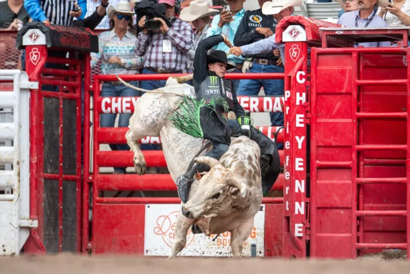 New Mexico steer wrestler at the top at Cheyenne Frontier Days