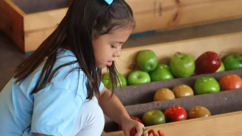 'Little Feet on the Farm' at the Hall County Fair