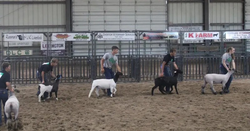 Cozad's Jackson Armstead wins champion sheep carcass contest at Dawson County Fair