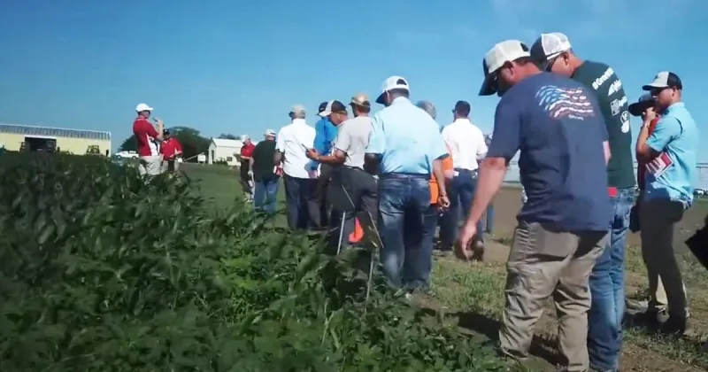 Jennifer Brhel: Field days set for week of Aug. 11