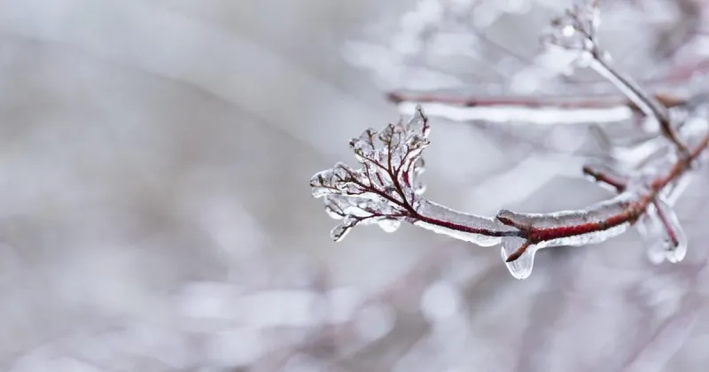 Kerry Hoffschneider: When 'functional freeze' needs to thaw out