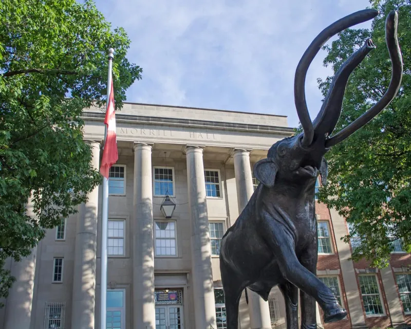 Morrill Hall Closes After Flooding on First Floor