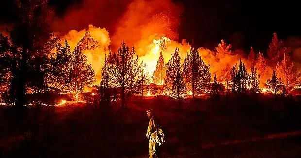Wildfires are extreme in Europe, North America, but global burning is oddly decreasing