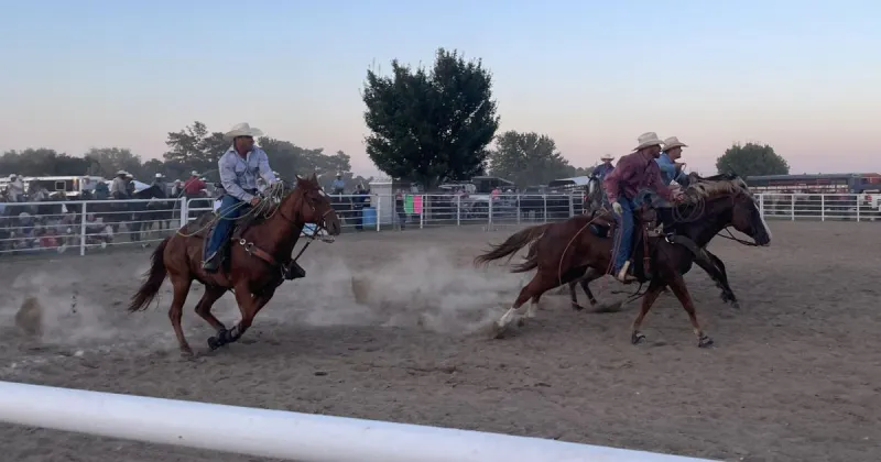 Here's what's planned for this year's York County Fair