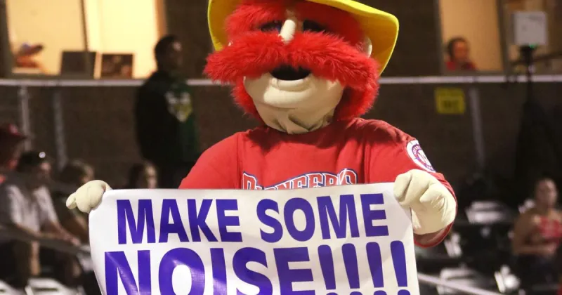 Pioneers baseball team announces closure