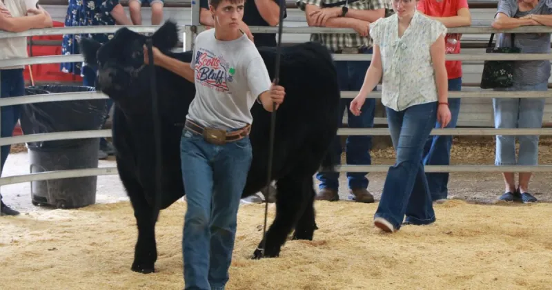 'Don't forget where you came from': Senior 4-H'ers prepare to leave the club behind