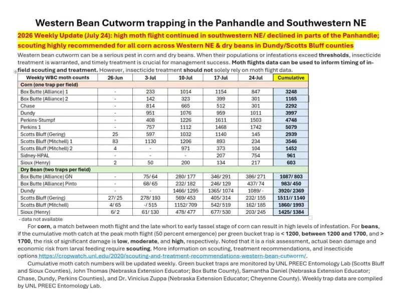 Western bean cutworm trapping in the Panhandle and southwestern Nebraska