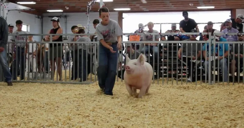Scotts Bluff County buyers back 4-H and FFA members at annual livestock sale