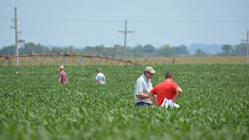 Soybean Management Field Days to showcase TAPS results, production strategies