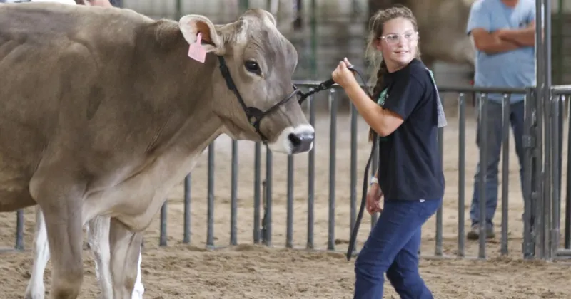 Cozad's Cadey Wolf wins grand champion dairy cow