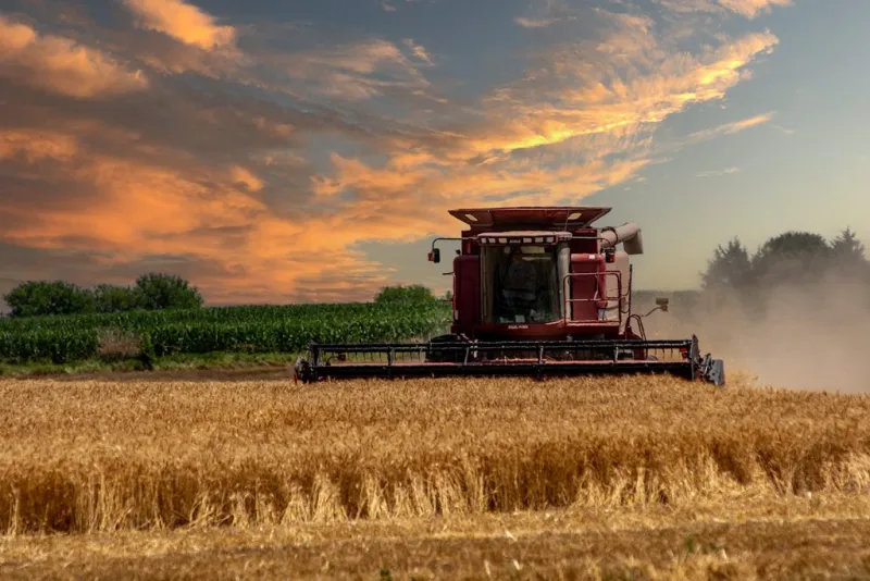 Farm bill fails in Senate ag over SNAP, beef amendment added