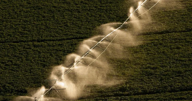 Ag land management webinar to offer latest on cash rents, lease arrangements for 2026