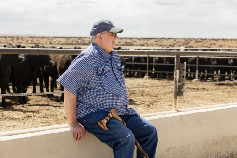 Curiosity changed the beef industry