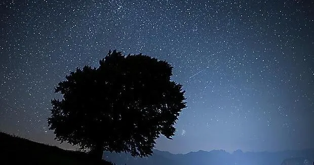 How to spot the Perseid meteor shower, a summer light show that dazzles