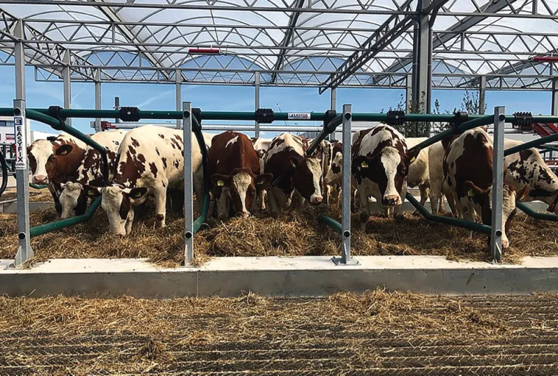 Bureaucracy forces closure of world's first floating dairy farm