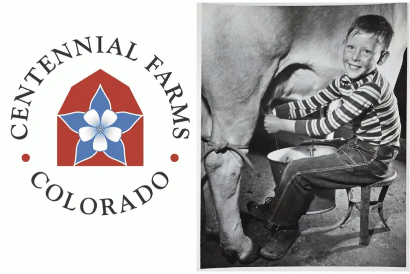 Centennial Farms & Ranches to be honored at state fair for 100+ years of ag resilience