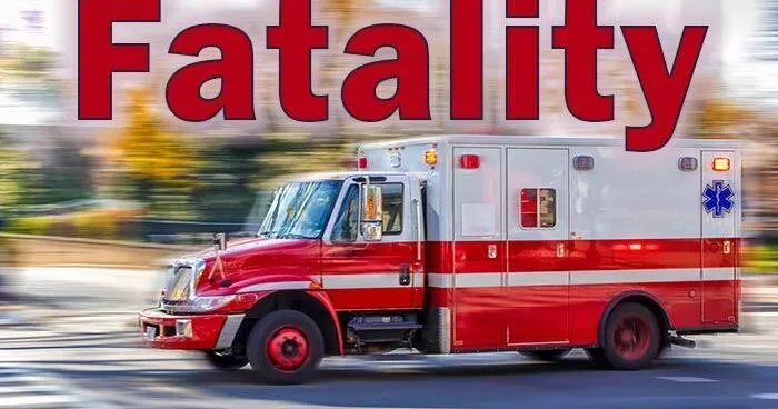 Norfolk man killed, woman injured after being struck by pickup