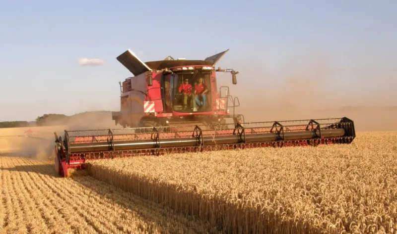 Crop prices falling below production costs as Ukraine ports fail to get grain exports moving