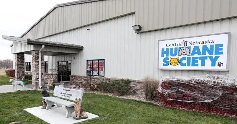 Humane Society still interested in working with city, board president says