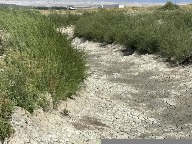 Drought conditions force tough decisions for Wyoming ranchers