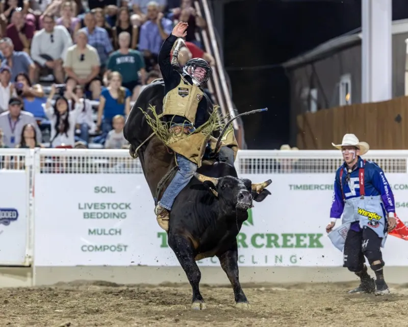 Rookie bull rider successful at Caldwell Night Rodeo