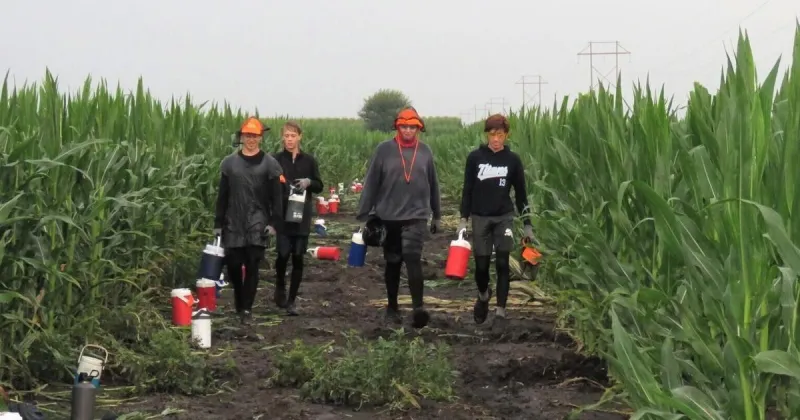 'It's hard work': Nebraska's summertime rite of passage is quietly fading