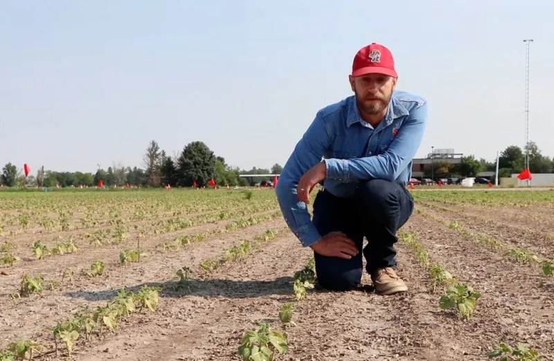 2026 Bean Growers Day in Grant scheduled