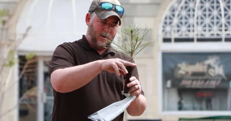 How you might be killing the trees in your yard by using a popular weed killer
