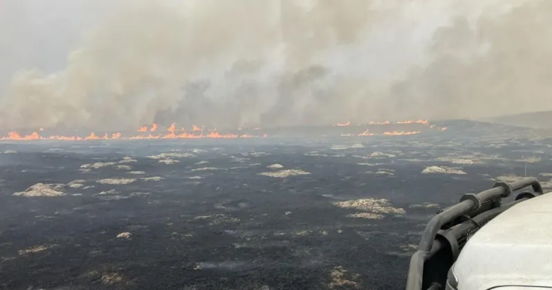 People impacted by March fires receive tax filing extension