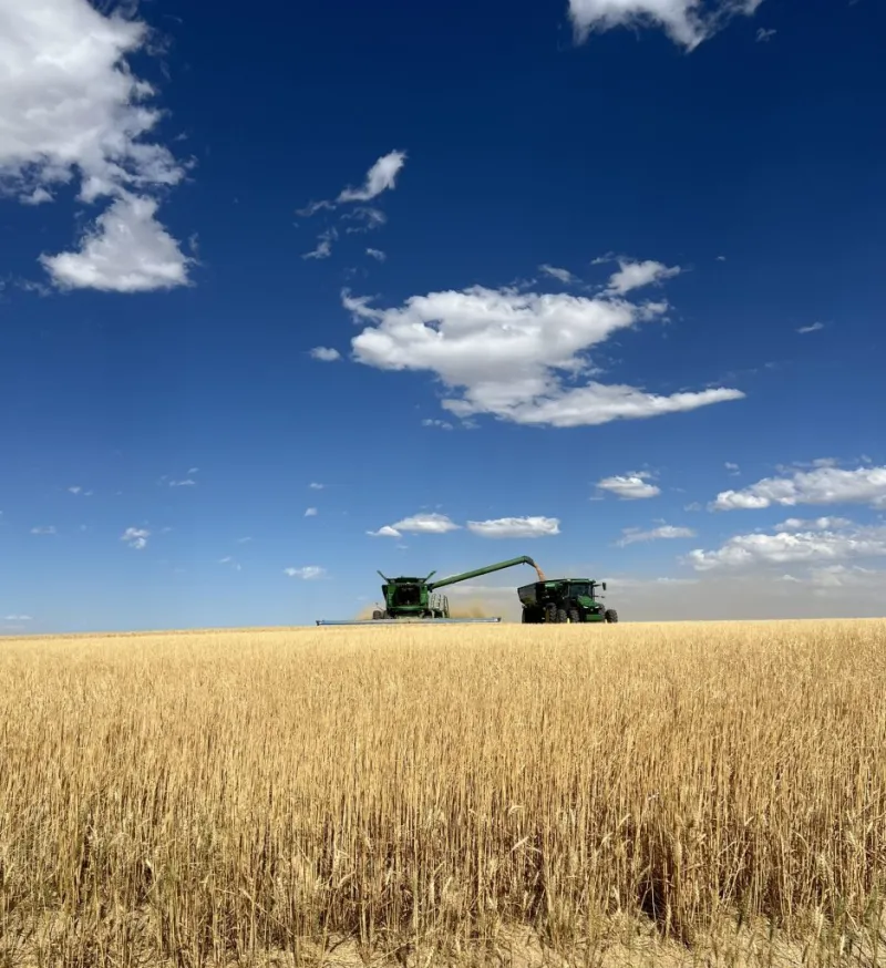 US trade policy update: What current tariff actions mean for US wheat customers