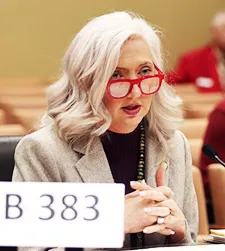 Storer in the Legislature: Protecting our children in a digital world