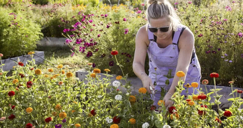Growing a dream: How a Minatare couple turned an alfalfa field into a flower farm
