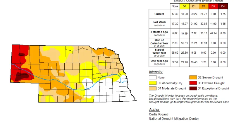 After 5 inches in 6 weeks, '26 loses grip on 'driest' rainfall list