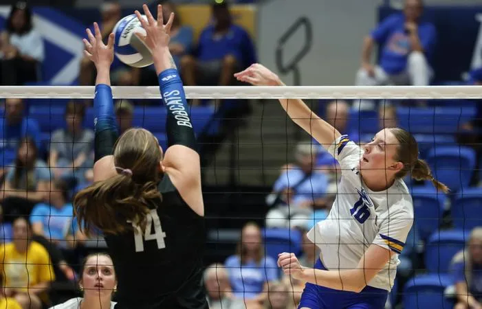 Win Streak at Seven After Sweeps of the Nighthawks & Tars