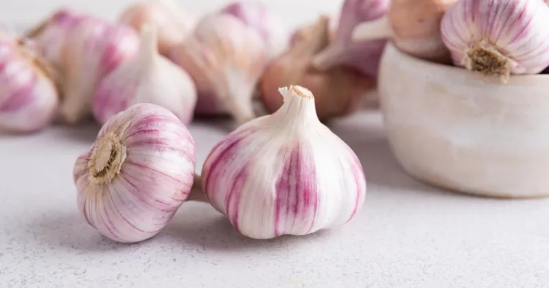 Cami Wells: Garlic: A flavorful favorite in the kitchen