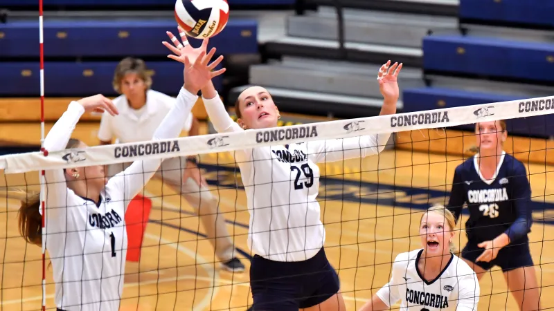 Sharp Bulldogs cruise past Saint Francis, complete 3-0 weekend