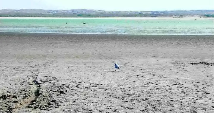 Despite shrunken Lake Mac, Central OKs normal '27 irrigation