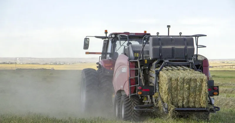 Waiting for water: Panhandle drought cuts crops, threatens economy