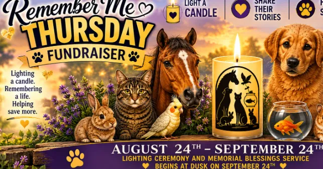 Paws for Pets: Remember Me Thursday on Sept. 24