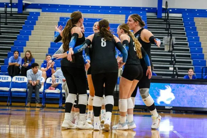 Volleyball Falls To Vikings On The Road