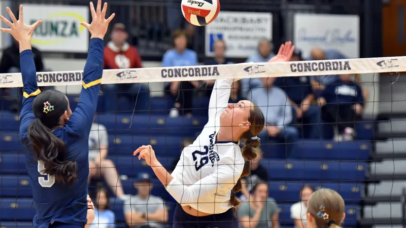 Starkey-led Dawgs brush off first set, respond for win over CSM