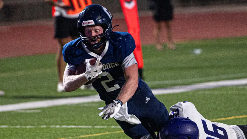 Bulldogs fall at Hastings in season's first road test