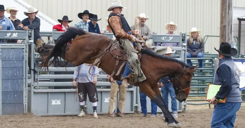 Cozad's Chad Connelly wins year-end title in ranch broncs