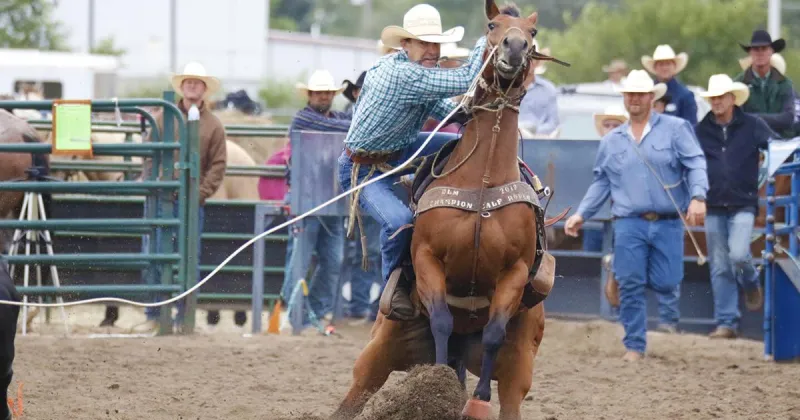 Lexington's Patrick Martin claims fifth NSRA tie-down roping year-end title