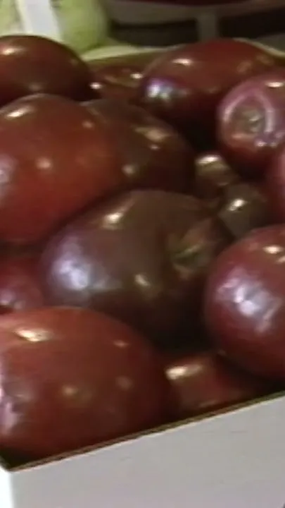 Nebraska City's Applejack Festival puts orchards in public eye (Video)
