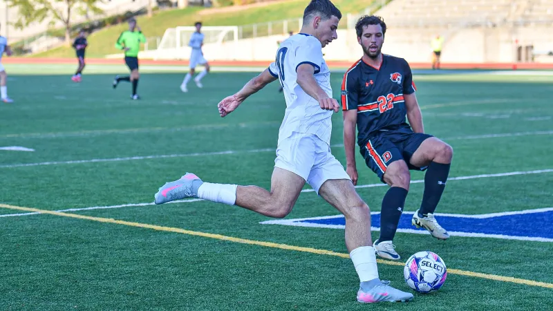 Dawgs set sights on Tigers and Mustangs