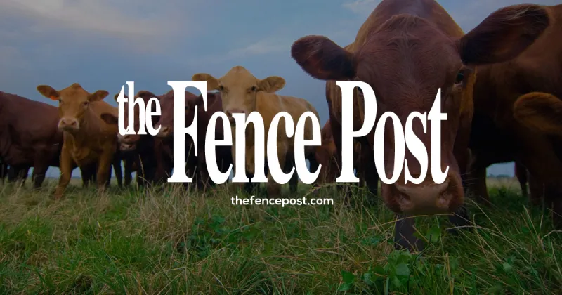 Green Chile Chicken Enchilada Casserole