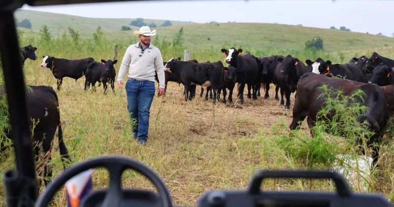 UNK student uses agribusiness lessons to improve family ranch