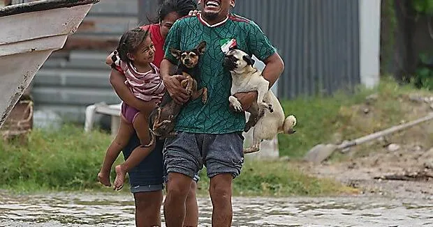 Hurricane Polo makes landfall in Baja, flooding communities and toppling trees